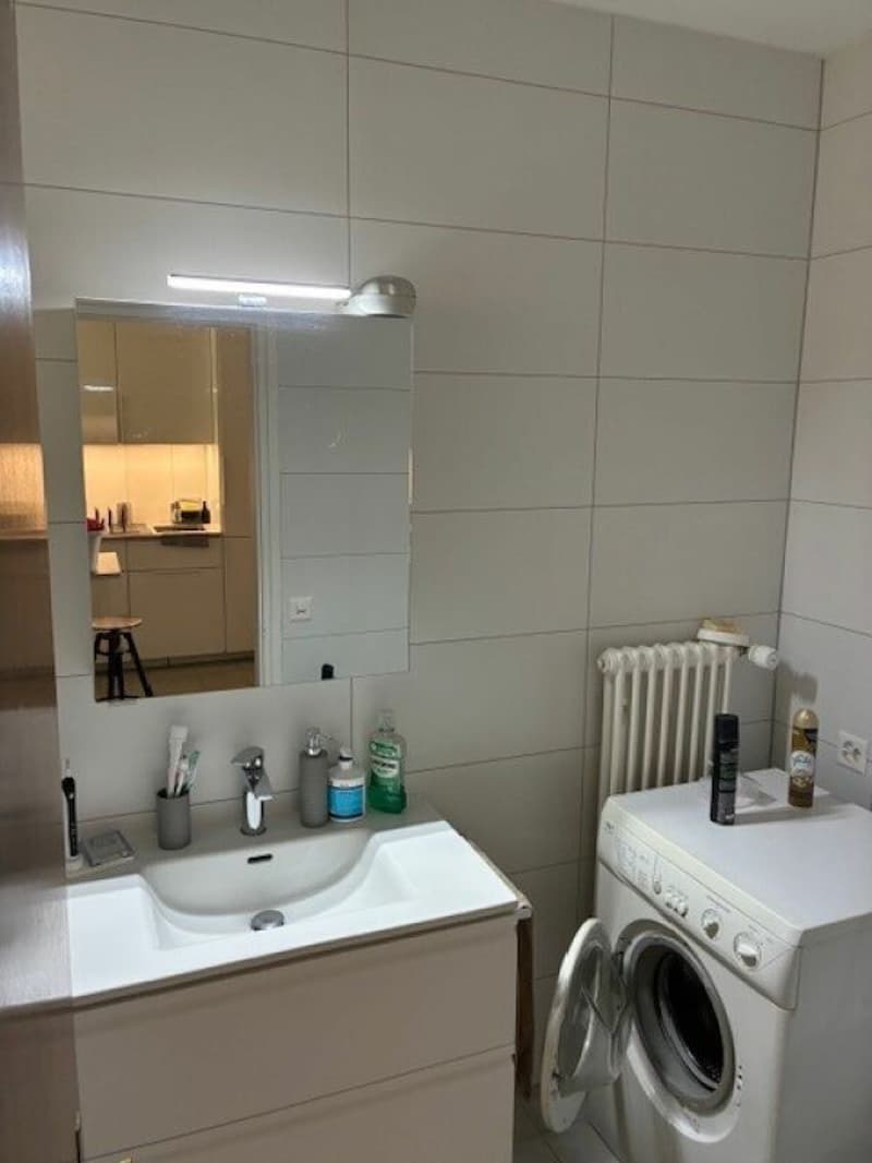 TENERO CENTRE - Appartement de 1,5 pièces à louer (6)