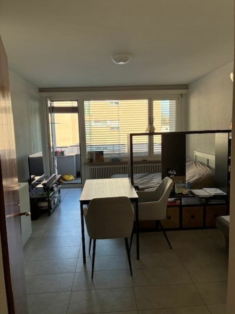TENERO CENTRE - Appartement de 1,5 pièces à louer (8)