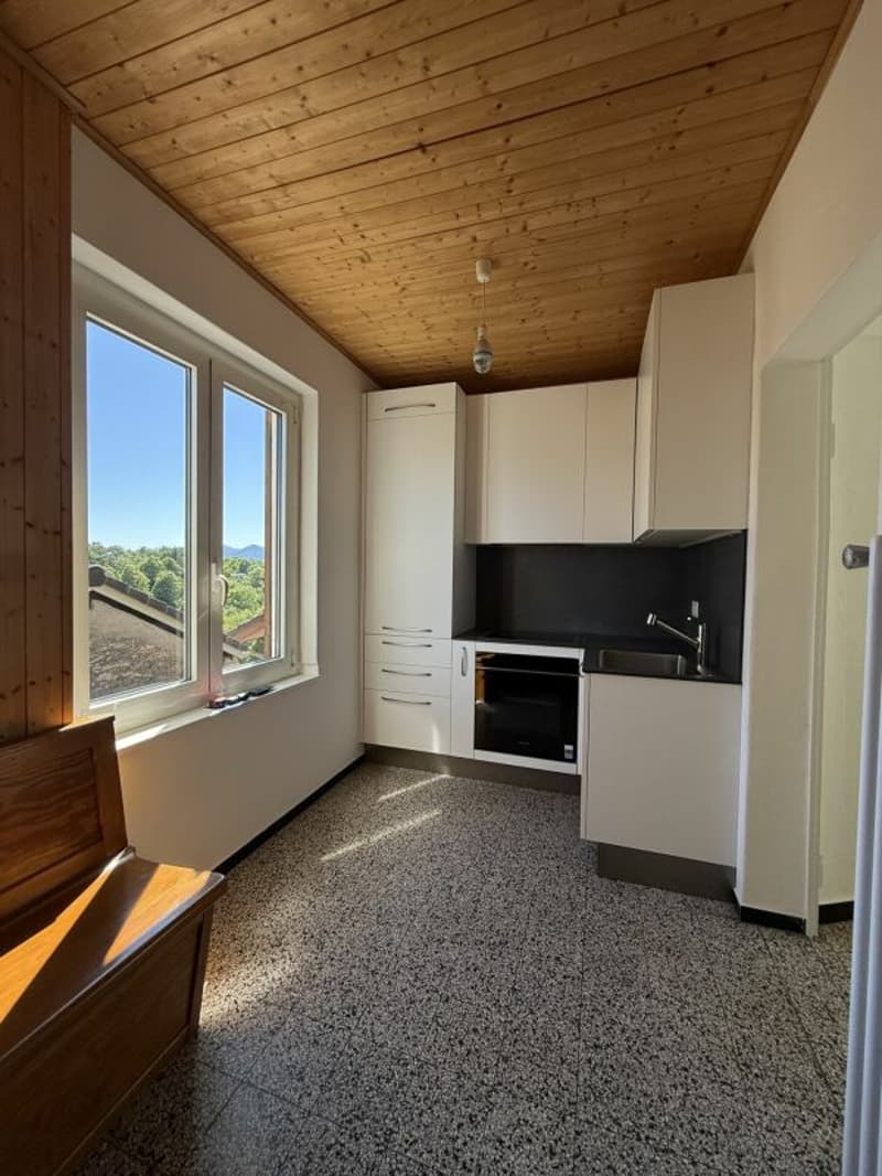 TENERO CONTRA - Wohnung mit 3.5 Zimmern zu vermieten (6)