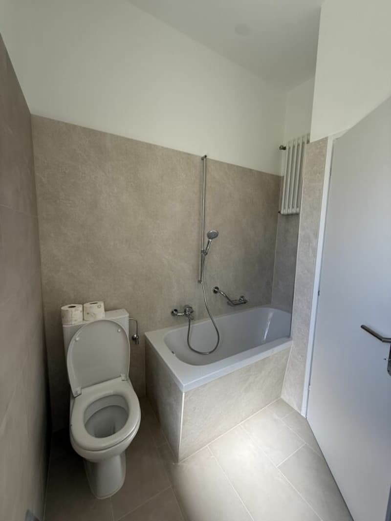 TENERO CONTRA - Wohnung mit 3.5 Zimmern zu vermieten (4)