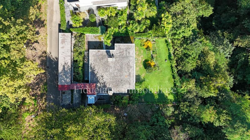 LOCARNO MONTI - Mehrfamilienhaus mit Seeblick und Garten (12)