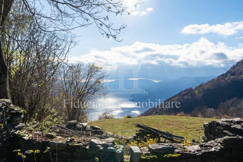 Brissago - Affascinante rustico di 3.5 locali in posizione soleggiata von vista lago da sogno (2)