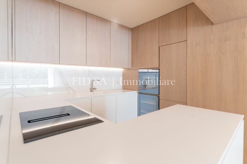 ASCONA - Appartamento completamente ristrutturato con ampia terrazza a sud (6)