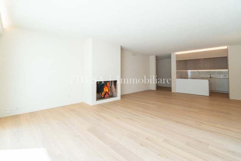 ASCONA - Appartamento completamente ristrutturato con ampia terrazza a sud (4)