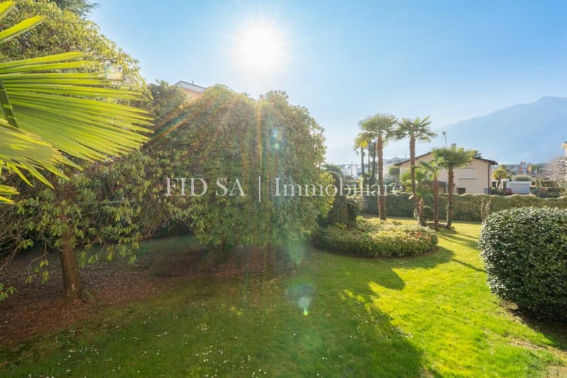 ASCONA - Appartamento completamente ristrutturato con ampia terrazza a sud (2)