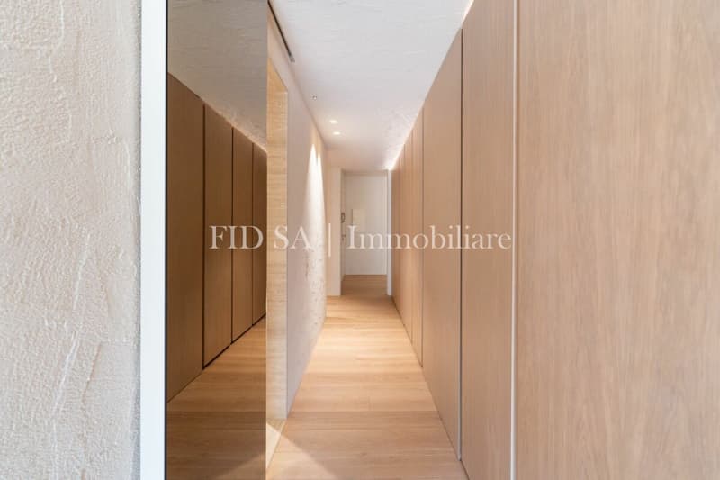 ASCONA - Appartamento completamente ristrutturato con ampia terrazza a sud (9)