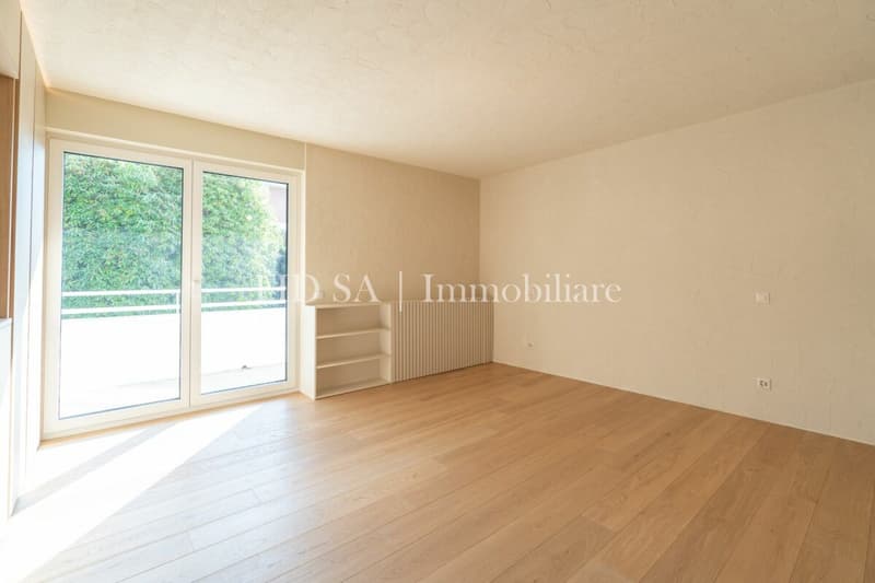ASCONA - Appartamento completamente ristrutturato con ampia terrazza a sud (8)