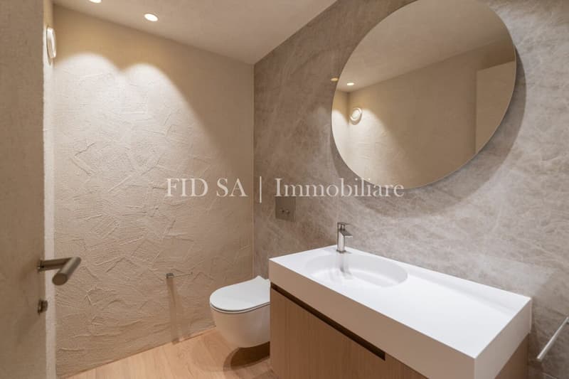 ASCONA - Appartamento completamente ristrutturato con ampia terrazza a sud (12)