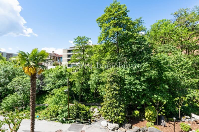 MINUSIO - Moderno appartamento duplex con vista nel verde (2)