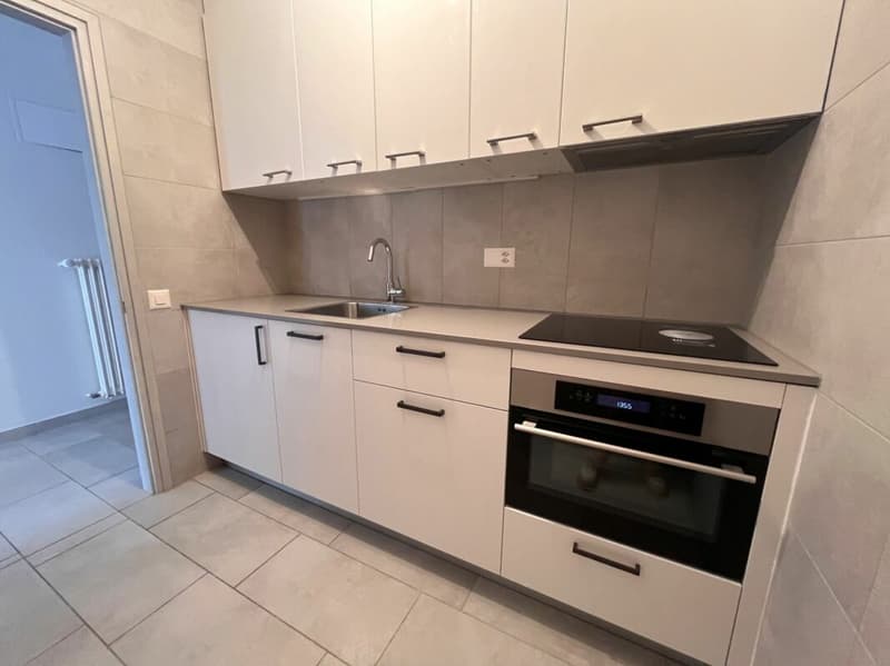 TENERO CENTRO - Affittasi appartamento di 1.5 locali (3)