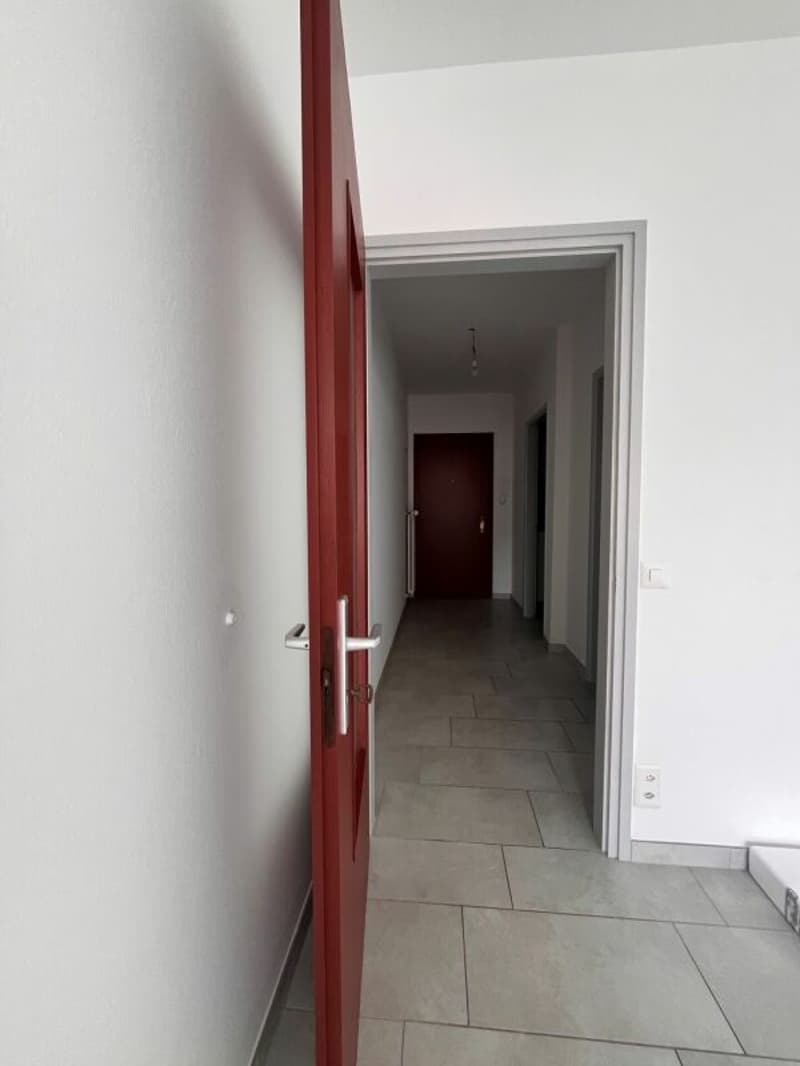 TENERO CENTRO - Affittasi appartamento di 1.5 locali (5)