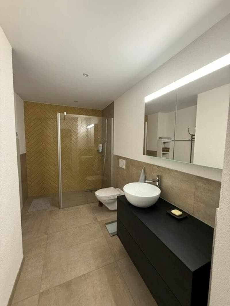 LOCARNO MONTI - ZWEITWOHNSITZ - 2,5-Zimmer-Wohnung zur Miete (4)