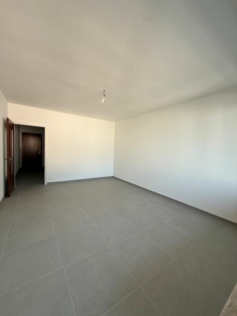 TENERO CENTRE - Appartement de 1,5 pièces à louer (7)