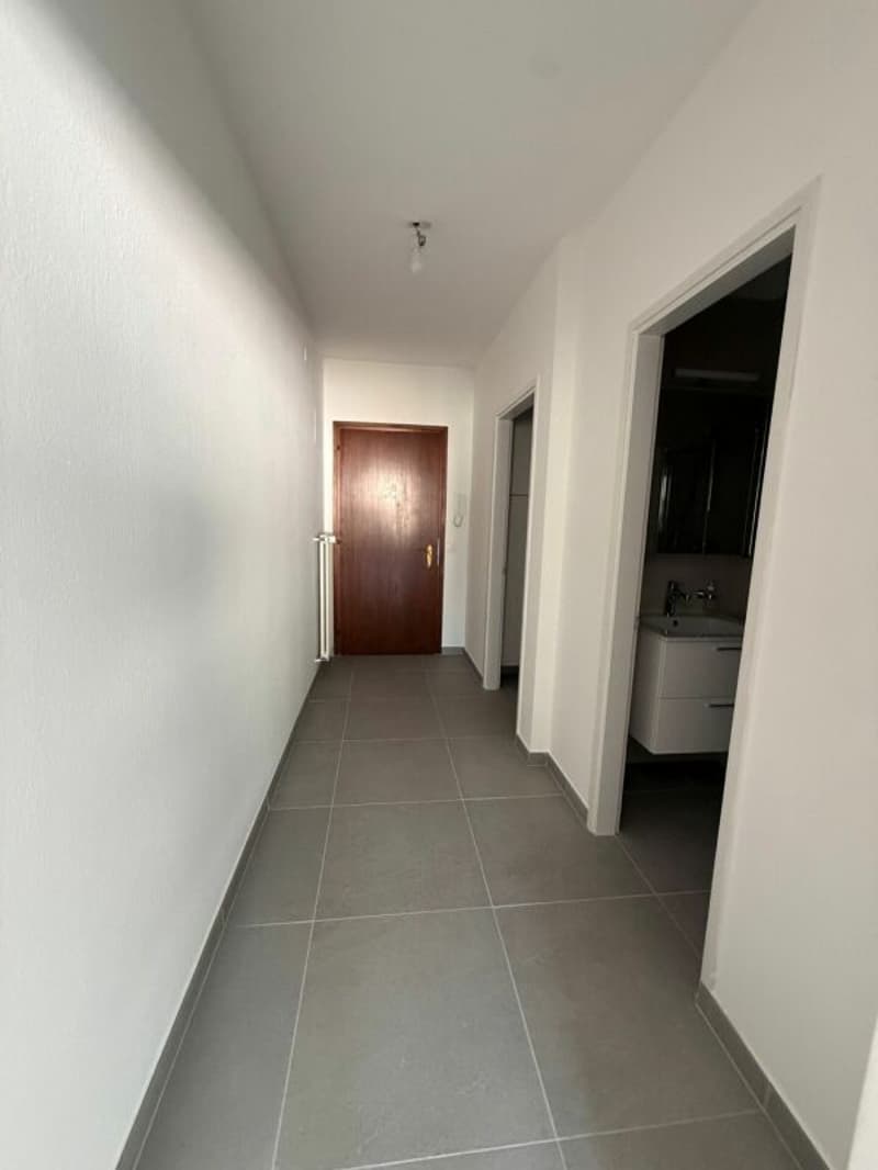 TENERO CENTRE - Appartement de 1,5 pièces à louer (9)