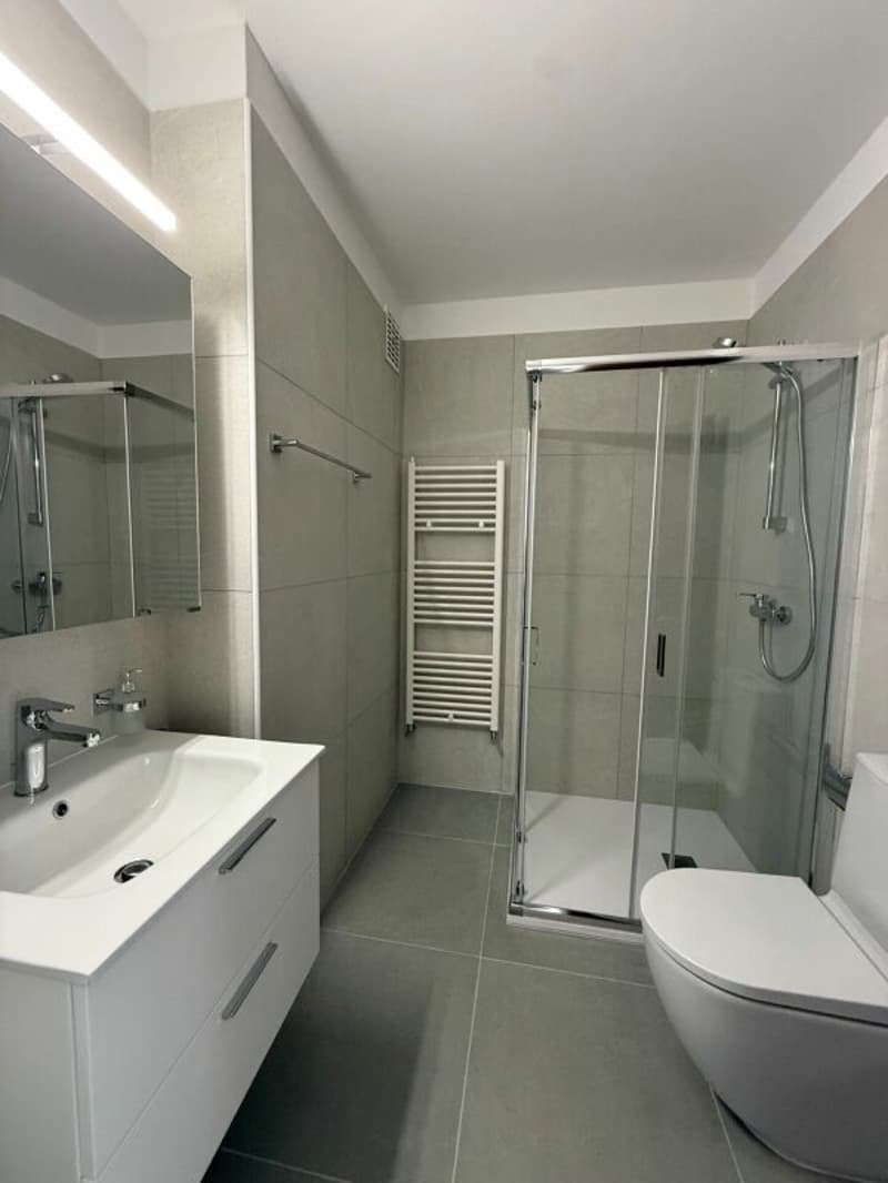 TENERO CENTRE - Appartement de 1,5 pièces à louer (4)