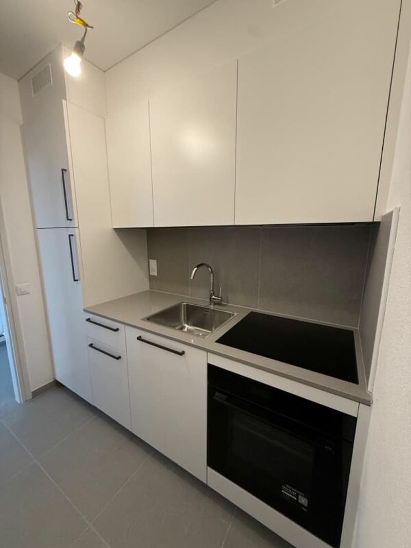 TENERO CENTRE - Appartement de 1,5 pièces à louer (3)