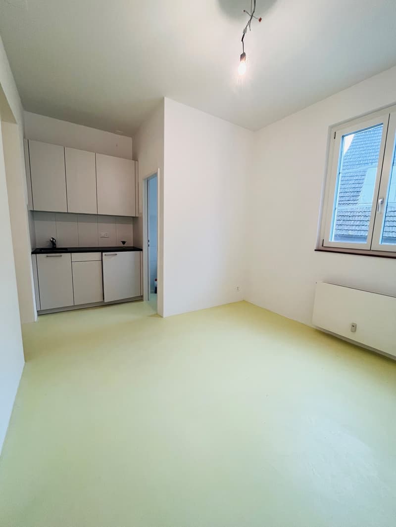 Spazio commerciale attraente nel centro città (11)