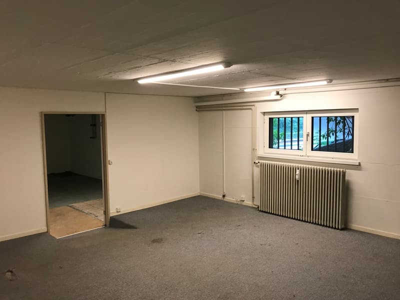 Empty room with white walls, gray carpeted floor, radiator, and a window overlooking outdoor scenery.