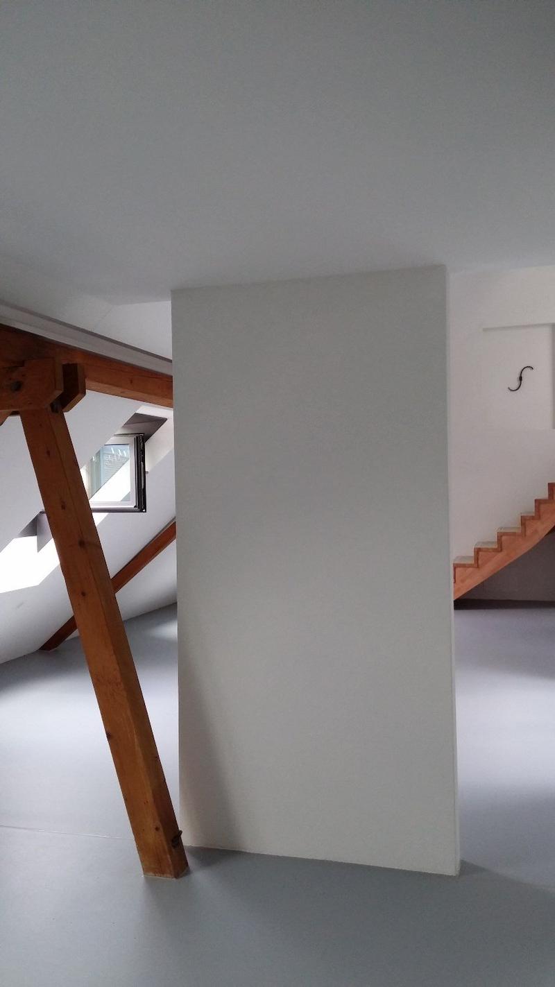 Modern loft apartment in the city center (10)