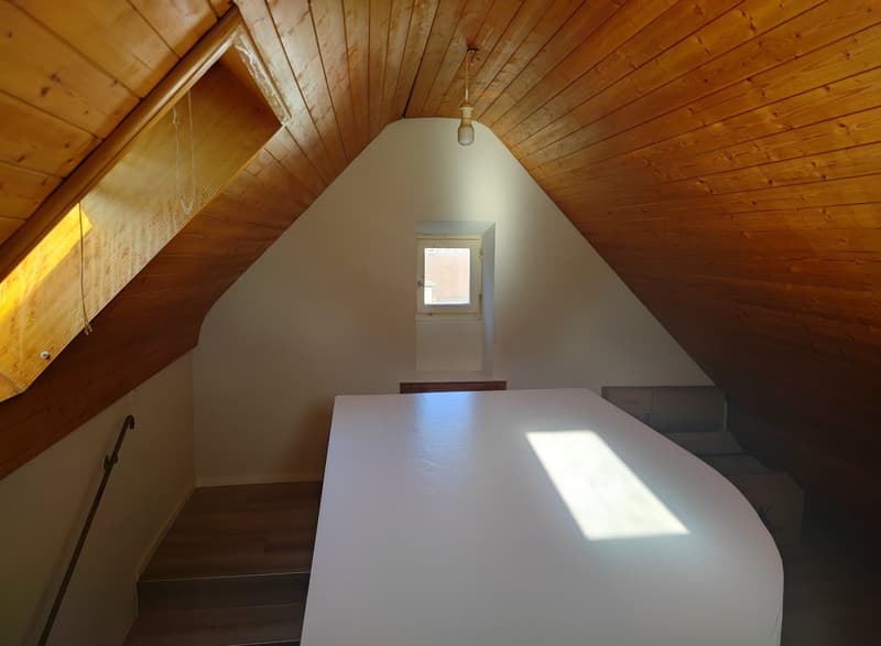 Apartment in the heart of Liestal (11)