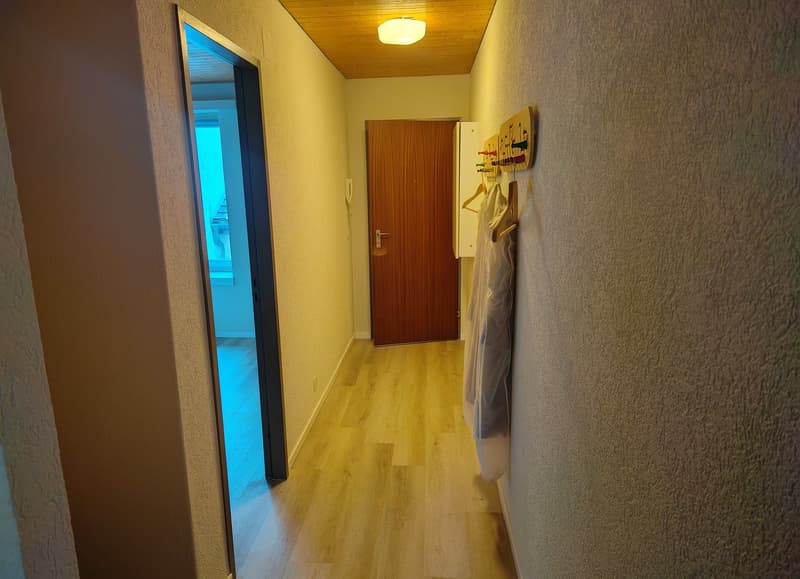 Apartment in the heart of Liestal (2)