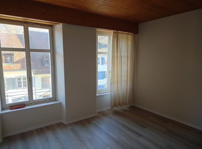 Apartment in the heart of Liestal (4)