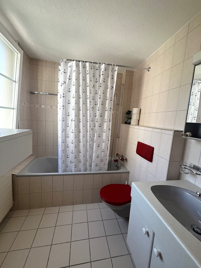 Bathtub, toilet, sink, shower curtain with anchors, wall-mounted mirror, white tiles, red toilet seat