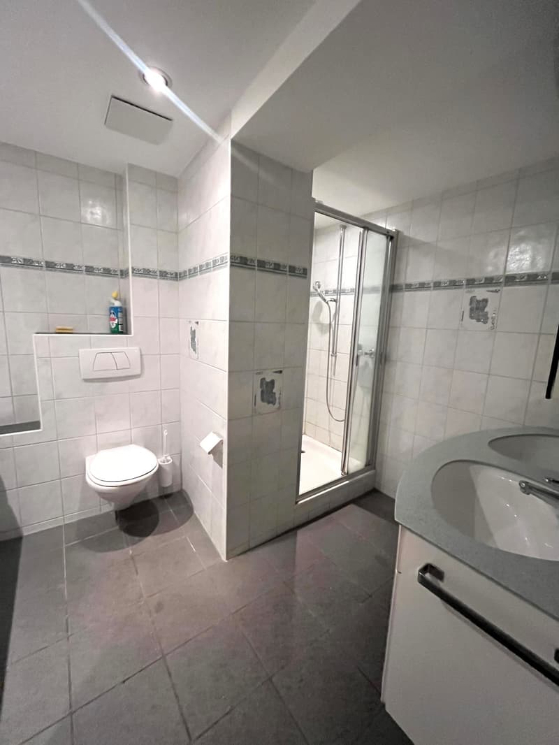 Modern clean bathroom with tiled walls, shower, white sink, toilet, and storage