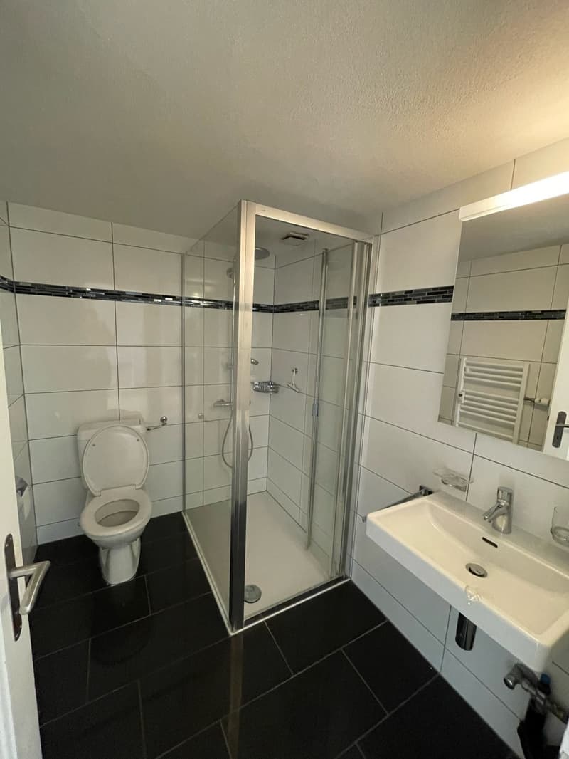 The image shows a bathroom with a tiled floor, white walls, a toilet, a sink with a vanity, and a glass shower enclosure.