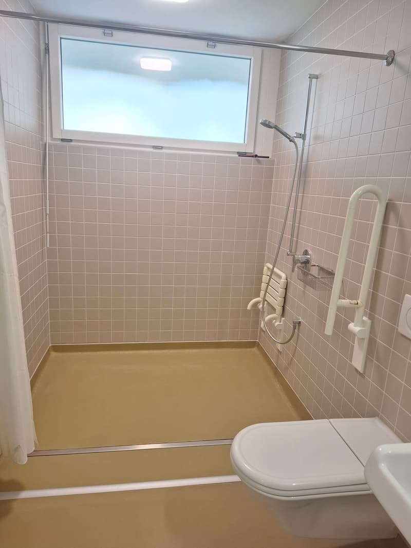 shower area, shower rail, toilet, wash basin, window