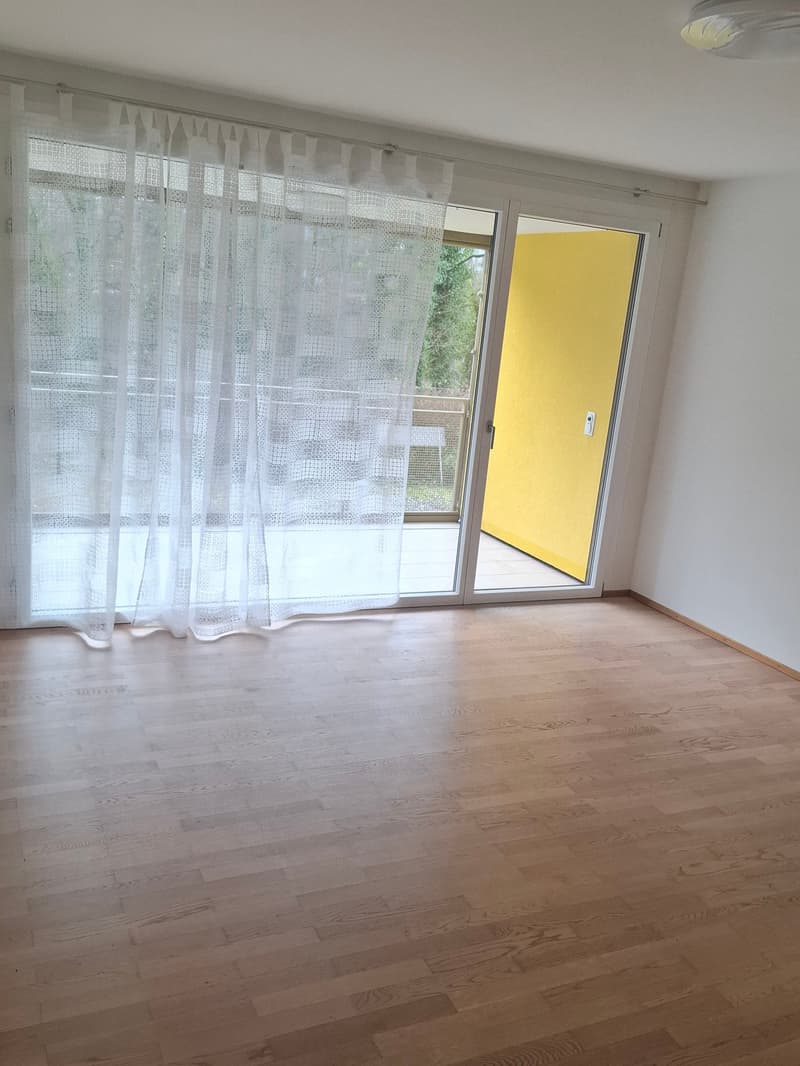 sliding doors, balcony, hardwood floors, large windows