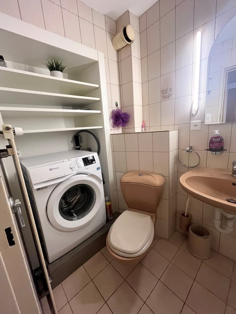 washer, shelves, toilet, sink, toilet paper