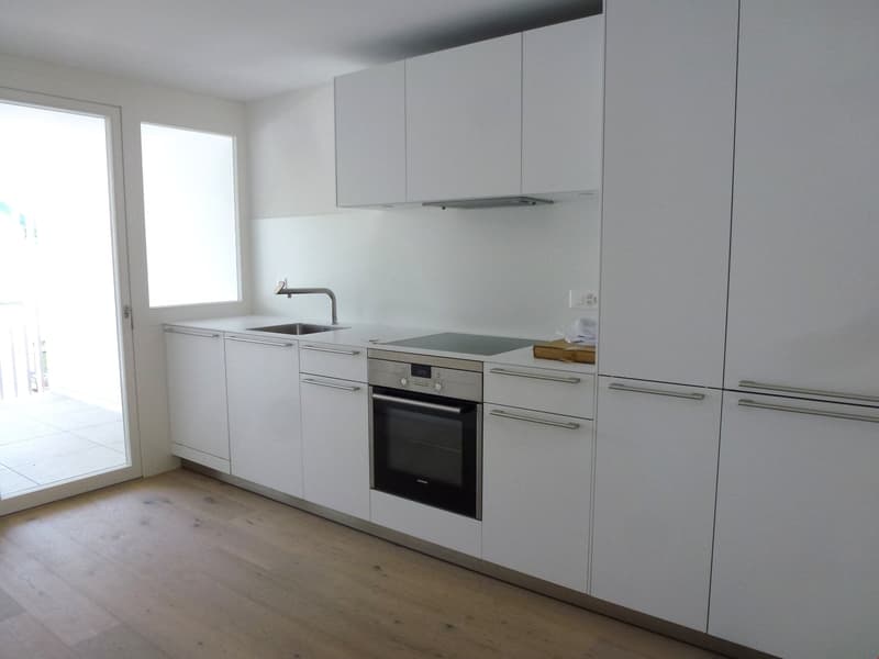 modern kitchen, white cabinets, wooden floor, stainless steel appliances, balcony