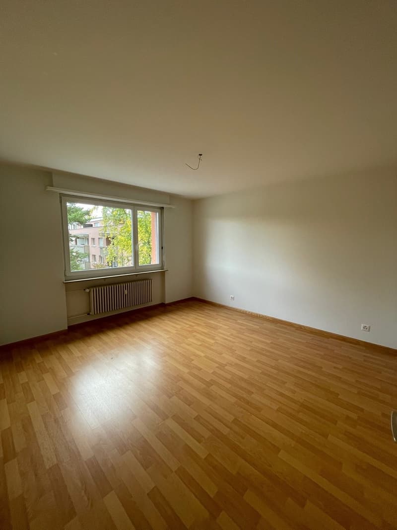empty room, wooden floor, white walls, large window, radiator