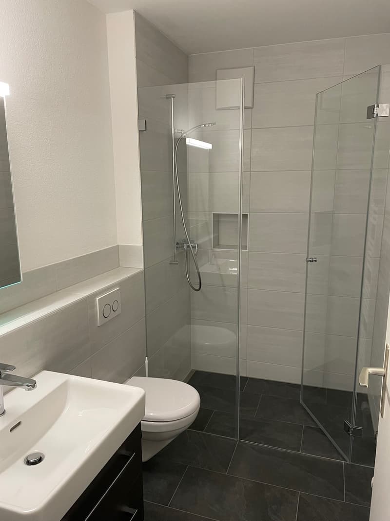 modern bathroom with white tiles, glass shower enclosure, white toilet, white sink, silver faucet, black cabinet