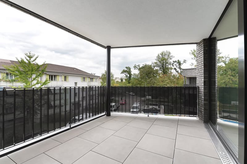 large balcony, black railings, tiled floor, glass walls, view of trees and buildings