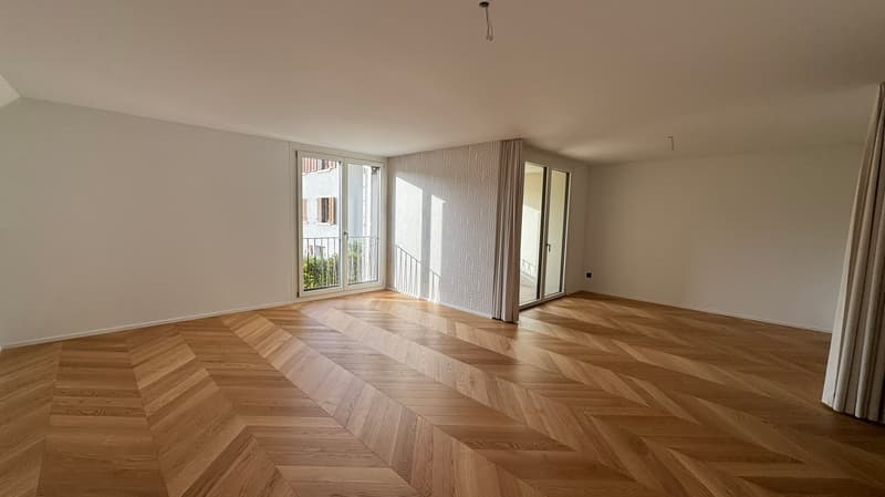 Appartamento nuovo di 2,5 locali attraente (4)