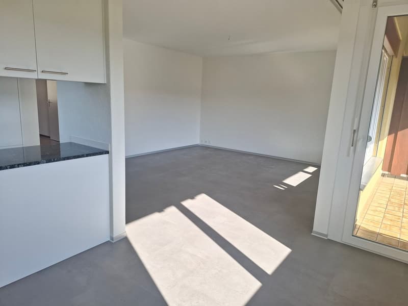 Appartamento di 4,5 locali con balcone in zona tranquilla (11)