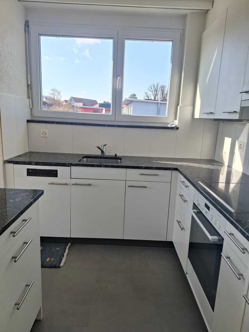 Appartamento di 4,5 locali con balcone in zona tranquilla (5)