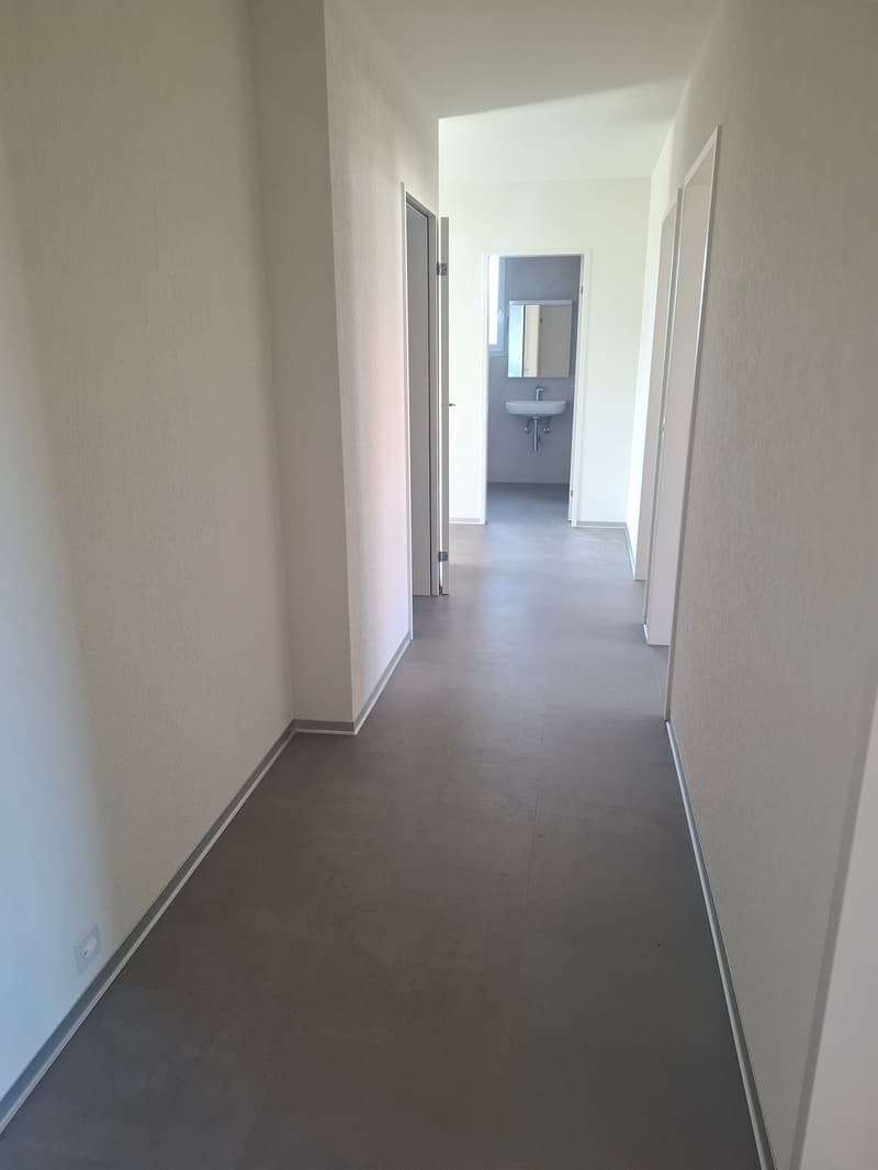 Appartamento di 4,5 locali con balcone in zona tranquilla (14)