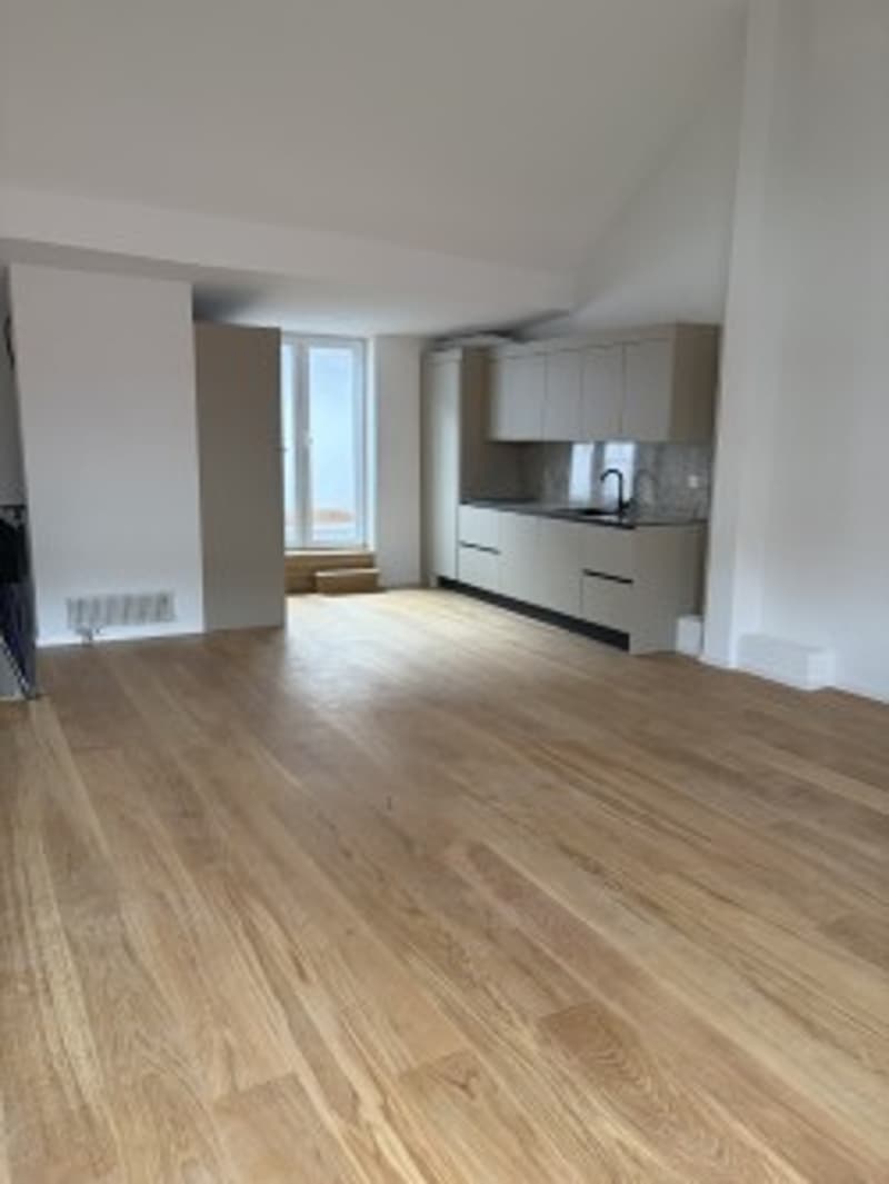 Appartement Duplex Charmant à Liestal avec Balcon (5)