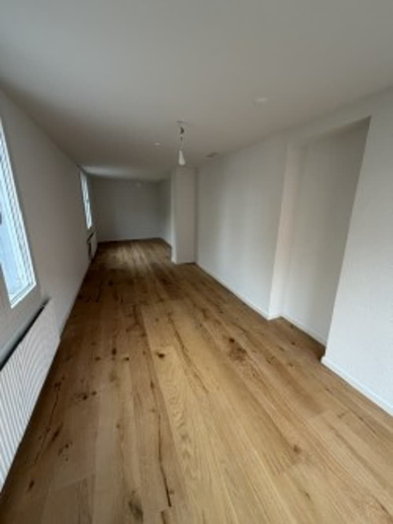 Appartement Duplex Charmant à Liestal avec Balcon (6)