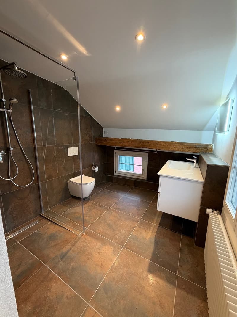 Appartement Duplex Charmant à Liestal avec Balcon (3)