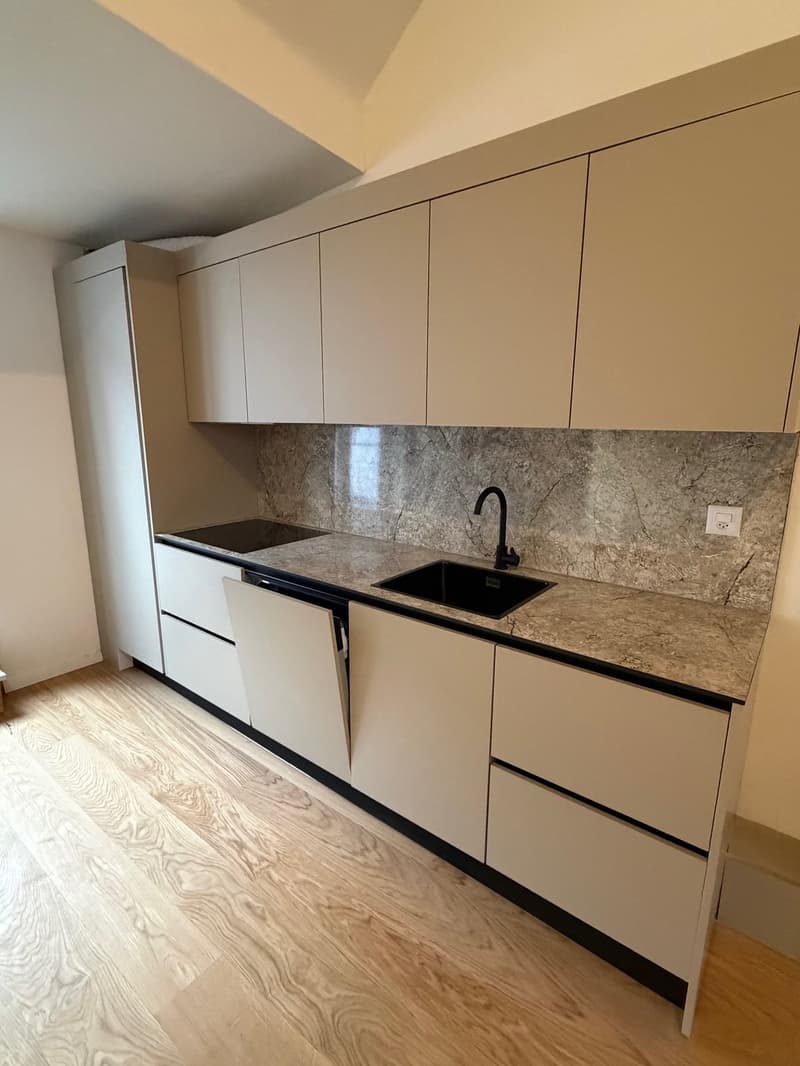 Appartement Duplex Charmant à Liestal avec Balcon (2)