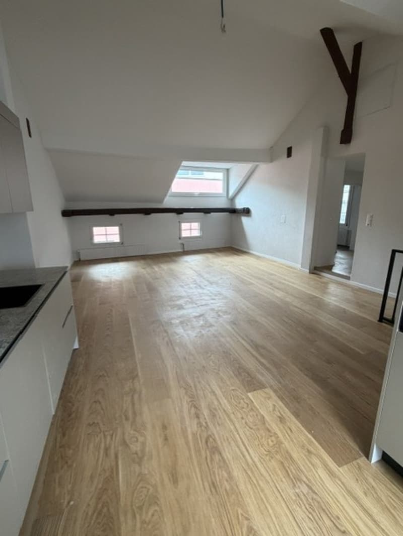 Appartement Duplex Charmant à Liestal avec Balcon (4)