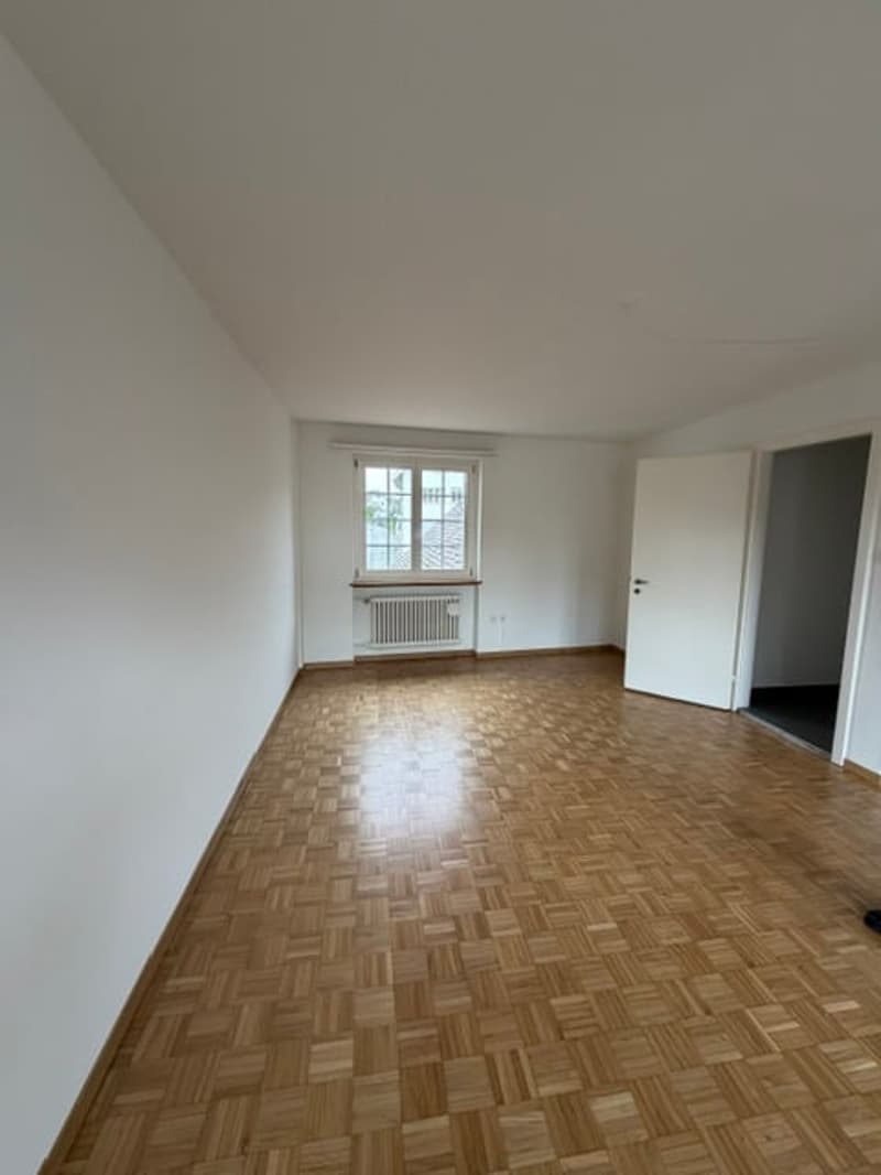 Appartamento di 3 locali luminoso sulla Rathausstrasse a Liestal (2)
