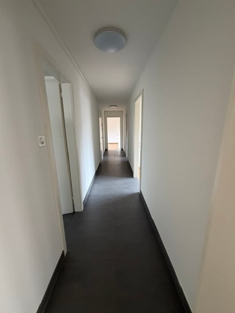 Appartamento di 3 locali luminoso sulla Rathausstrasse a Liestal (1)