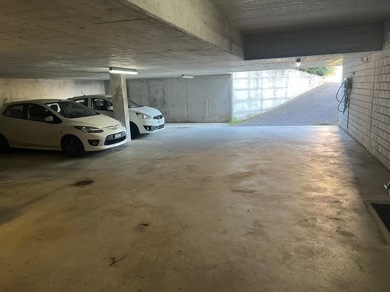 Spazio polivalente per servizi/commercio (8)