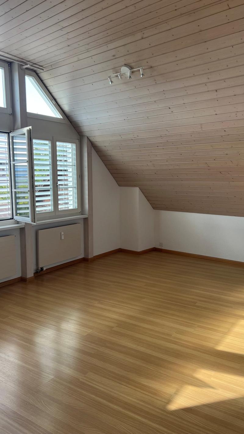 Delizioso appartamento a maisonnette di 2 camere a Dornach – disponibile immediatamente (2)
