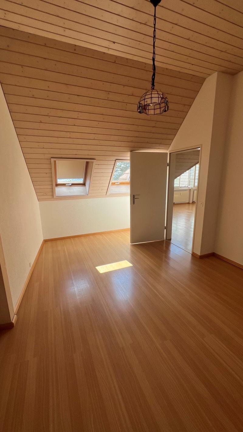 Delizioso appartamento a maisonnette di 2 camere a Dornach – disponibile immediatamente (3)